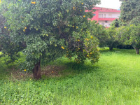 palazzo in vendita Davoli foto 008__whatsapp_image_2025-11-05_at_10_31_18__1.jpg