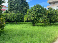 palazzo in vendita Davoli foto 010__whatsapp_image_2025-11-05_at_10_31_18__3.jpg