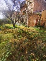 casa singola in vendita Catanzaro foto 002__007__photo-2025-12-02-13-42-26.jpg