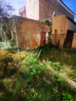 casa singola in vendita Catanzaro foto 006__005__photo-2025-12-02-13-42-24__1.jpg