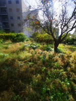 casa singola in vendita Catanzaro foto 007__006__photo-2025-12-02-13-42-25.jpg