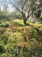 casa singola in vendita Catanzaro foto 008__008__photo-2025-12-02-13-42-27.jpg