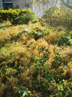 casa singola in vendita Catanzaro foto 009__009__photo-2025-12-02-13-42-28.jpg