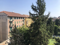 appartamento in affitto Casale Monferrato foto 001__img_3538.jpg