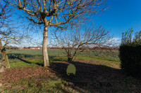 casa singola in vendita Tribano foto 999__1_tribano__con_logo__img_0552.jpg