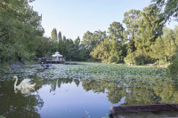 hotel - albergo in vendita Badia Polesine foto 005__park-hotel-le-magnolie-badia-polesine-photo-19.jpg