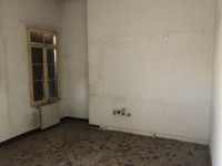 palazzo in vendita Badia Polesine foto 014__img_9679.jpg