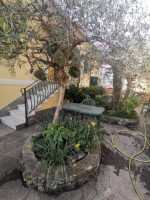 apartamento para alugar Rapallo foto 016__img-20220319-wa0020.png