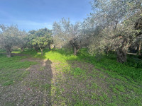 terreno in vendita Pace del Mela foto 999__whatsapp_image_2026-01-12_at_16_43_40__1.jpg