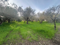 terreno in vendita Pace del Mela foto 999__whatsapp_image_2026-01-12_at_16_43_40__2.jpg