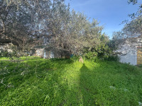 terreno in vendita Pace del Mela foto 999__whatsapp_image_2026-01-12_at_16_43_40__3.jpg