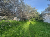 terreno in vendita Pace del Mela foto 999__whatsapp_image_2026-01-12_at_16_43_40__4.jpg