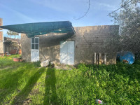 terreno in vendita Pace del Mela foto 999__whatsapp_image_2026-01-12_at_16_43_40__5.jpg