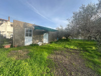 terreno in vendita Pace del Mela foto 999__whatsapp_image_2026-01-12_at_16_43_40__6.jpg