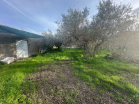 terreno in vendita Pace del Mela foto 999__whatsapp_image_2026-01-12_at_16_43_40__7.jpg