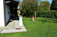 villa in vendita Maserà di Padova foto 040__dsc_0841__medium.jpg