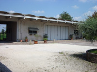 capannone in affitto Ceregnano foto 005__dsc00035.jpg