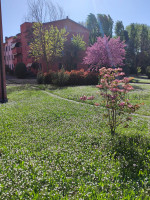 appartamento in vendita Rescaldina foto 003__2000bcf3-aef3-4a98-912c-73b776e4a4ec_wmk_0.jpg