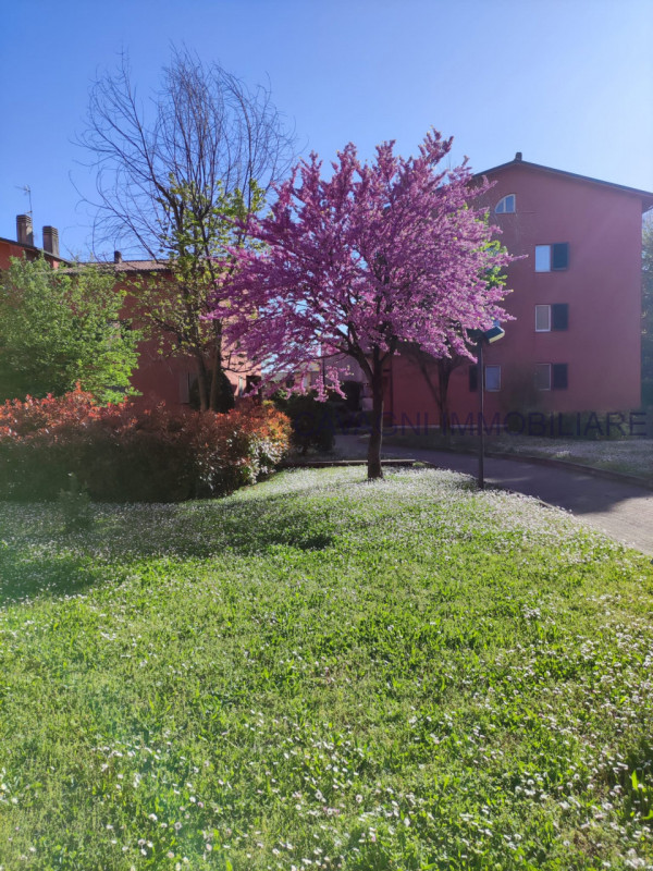 foto principale annuncio