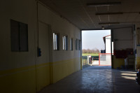 magazzino in vendita Bovolenta foto 000__dsc_0161.jpg