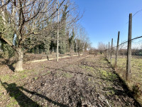 casa singola in vendita Legnago foto 035__img_8478.jpg