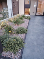 attico in vendita Cassola foto 009__whatsapp_image_2026-01-23_at_18_03_13.jpg