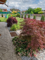 casa a schiera in vendita Giacciano Con Baruchella foto 005__whatsapp_image_2026-01-22_at_20_52_24__9.jpg