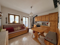 appartamento in vendita Santo Stefano di Cadore foto 000__Soggiorno.jpg