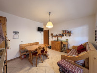 appartamento in vendita Santo Stefano di Cadore foto 001__soggiorno.jpg