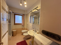 appartamento in vendita Santo Stefano di Cadore foto 012__bagno.jpg