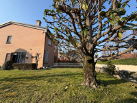 bifamiliare in vendita Cittadella foto 007__fab9d1e8-9600-4796-91ec-c78c82d008b7_wmk_0.jpg