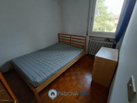 appartamento in vendita Padova foto 009__foto_10.jpg