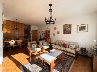 appartamento in vendita Auronzo di Cadore foto 003__Soggiorno.jpg