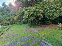 vila para venda Rapallo foto 010__whatsapp_image_2025-10-11_at_11_55_25.jpg