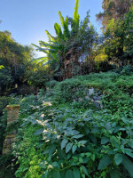 vila para venda Rapallo foto 050__whatsapp_image_2025-10-11_at_11_55_35__5.jpg