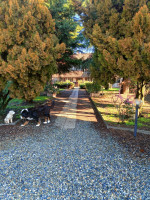 casa singola in vendita Motta Dè Conti foto 002__photo-2026-02-05-10-52-48_10.jpg