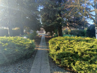 casa singola in vendita Motta Dè Conti foto 020__photo-2026-02-05-10-52-48_4.jpg