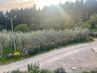 attività commerciale in vendita Calenzano foto 005__whatsapp_image_2024-01-11_at_20_23_40__10.jpg