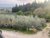 attività commerciale in vendita Calenzano foto 008__whatsapp_image_2024-01-11_at_20_23_40__13.jpg