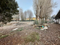 capannone in vendita Conselve foto 027__whatsapp_image_2026-02-19_at_18_01_12__11.jpg