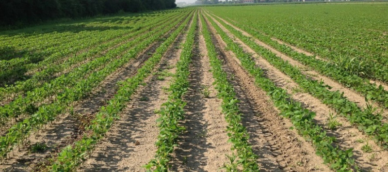 foto principale annuncio