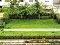 appartamento in affitto Firenze foto 013__20240620_114258.jpg