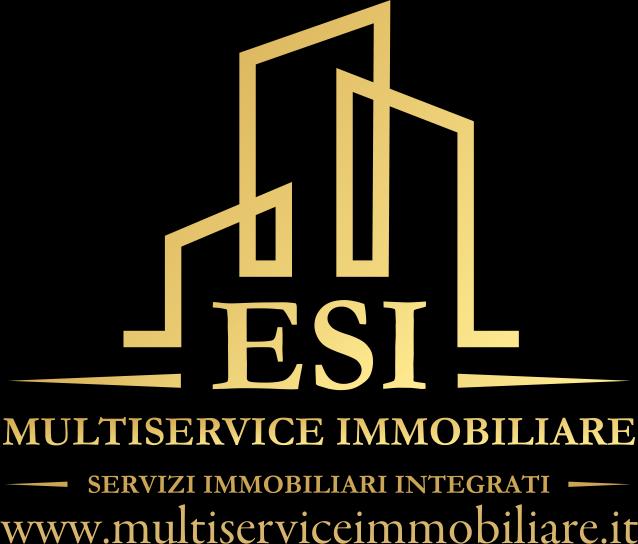 Multiservice Agency